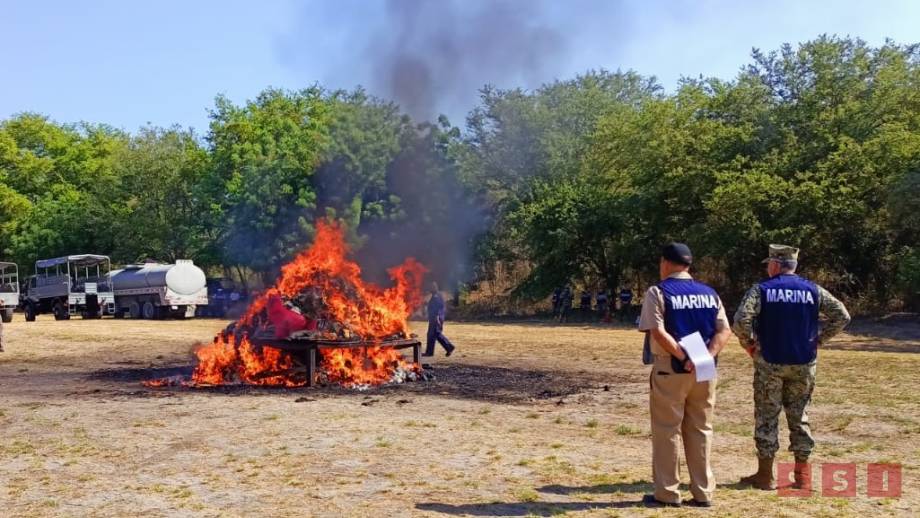 Incineran más de una tonelada de drogas en Tapachula - Susana Solis Informa