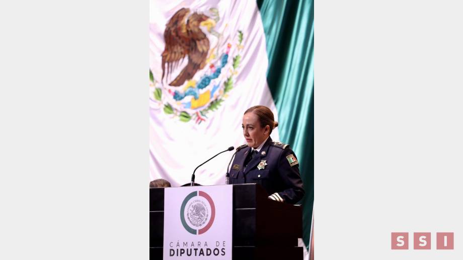 ¿Próxima diputada federal? - Susana Solis Informa