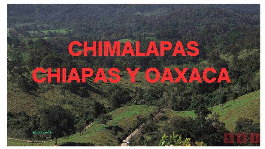 Legisladores de Chiapas buscarán “recuperar algo” de las 160 mil hectáreas perdidas con Oaxaca - Susana Solis Informa