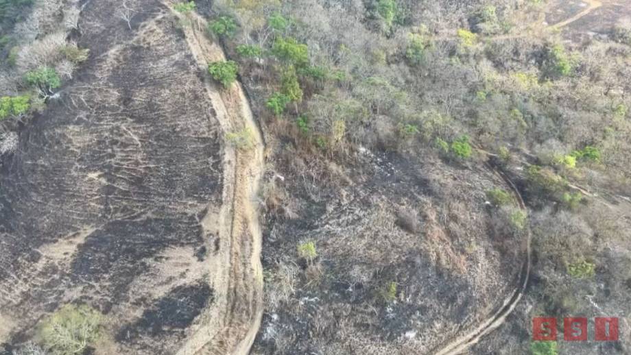 Cerro Mactumactzá destruido por incendios forestales, se recuperará en 10 años - Susana Solis Informa