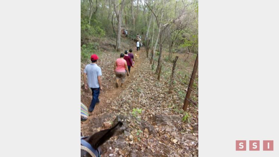 Demandan asistencia humanitaria para familias desplazadas de la frontera - Susana Solis Informa