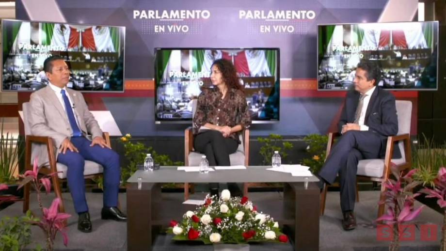 Deben separarse del cargo aspirantes a procesos internos: Llaven Abarca Susana Solis Informa