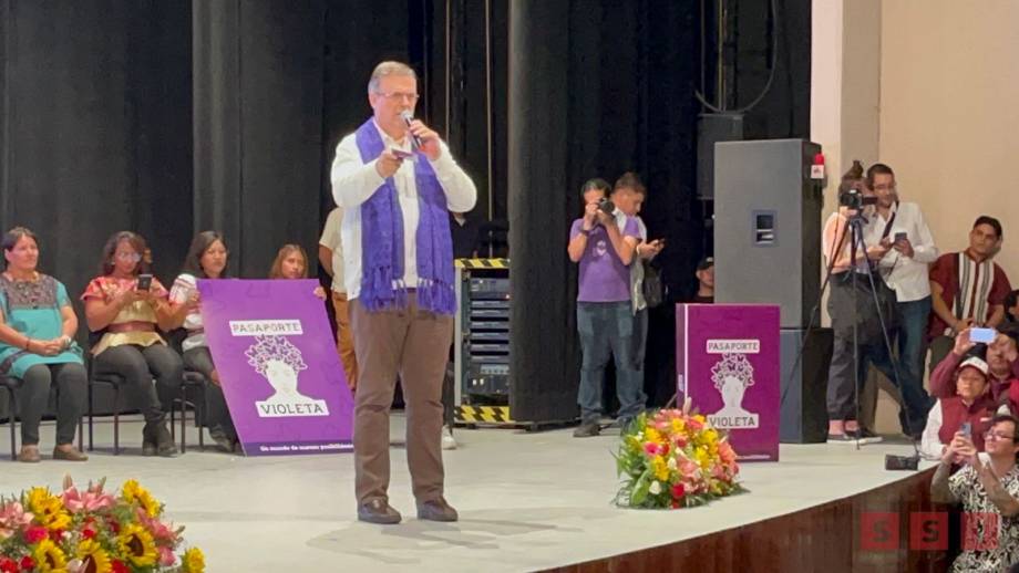 ACARREO no determinará quién será el Coordinador del Comité de Defensa de la 4T: Ebrard - Susana Solis Informa