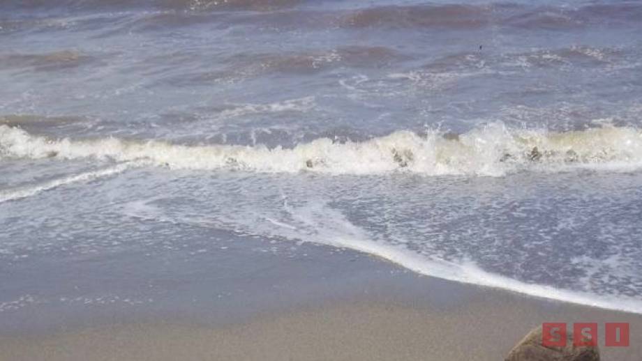 Localizan restos humanos cerca de la Base Naval en Chiapas - Susana Solis Informa