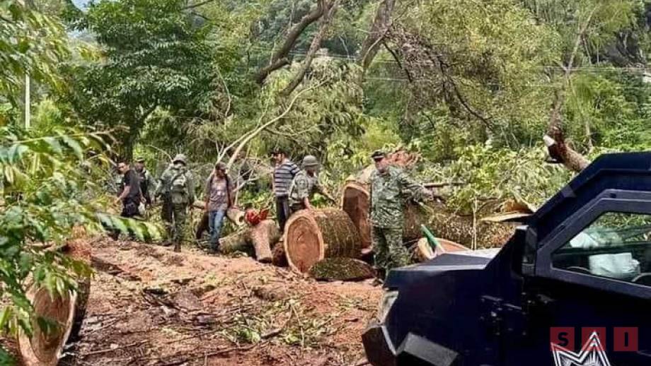 SE ENFRENTAN fuerzas federales y habitantes de la Sierra de Chiapas - Susana Solis Informa