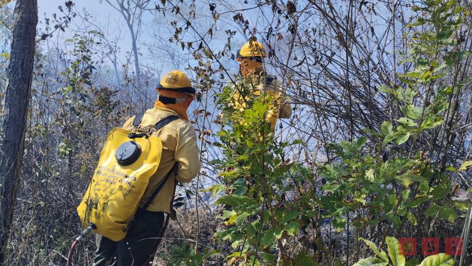 Se registran más de 70 incendios en lo que va del año en Chiapas - Susana Solis Informa