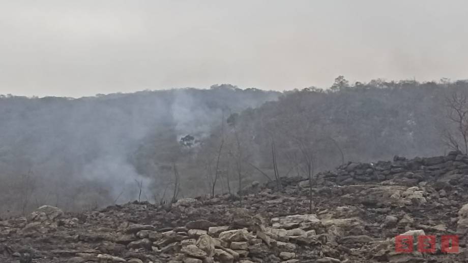 MÁS DE 100 hectáreas se consumen en el Cañón del Sumidero - Susana Solis Informa