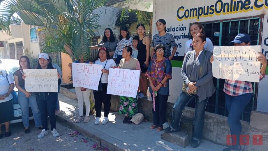 DENUNCIAN MATANZA de perros y gatos en Tuxtla Gutiérrez Susana Solis Informa