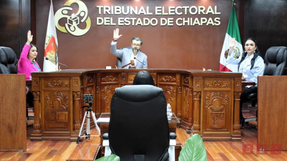 ¡Palo al PVEM! Ordena TEECH que partidos deben postular 2 mujeres en municipios más poblados Susana Solis Informa