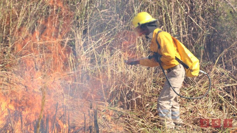 CHIAPAS con más superficie afectada por incendios Susana Solis Informa