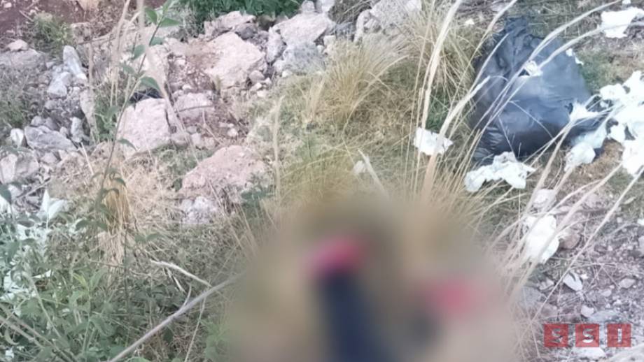 MAT4N a precandidato del PRI en Chiapas Susana Solis Informa