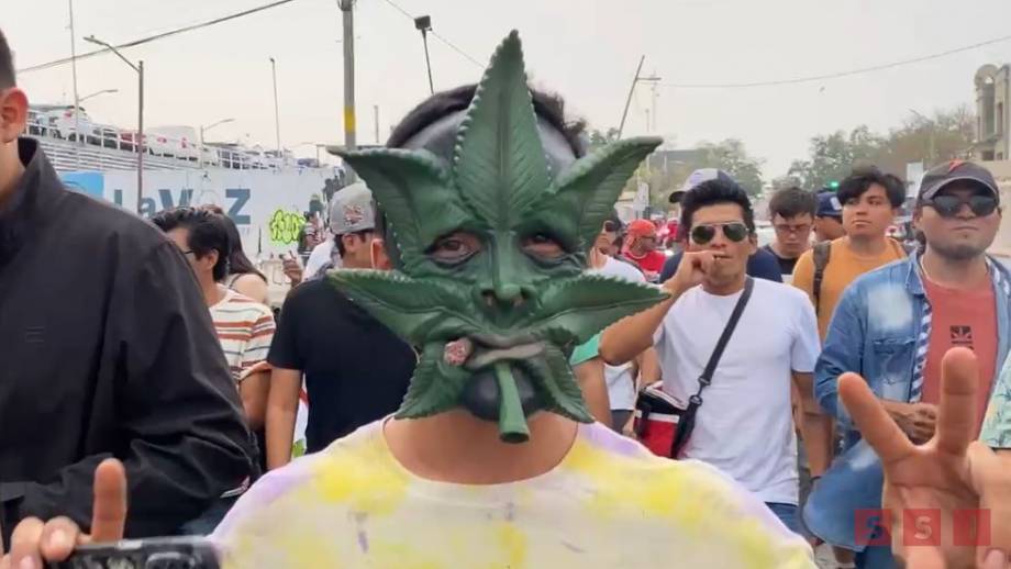 PIDEN consumidores de marihuana cese al acoso policiaco; marchan en Tuxtla Gutiérrez - Susana Solis Informa