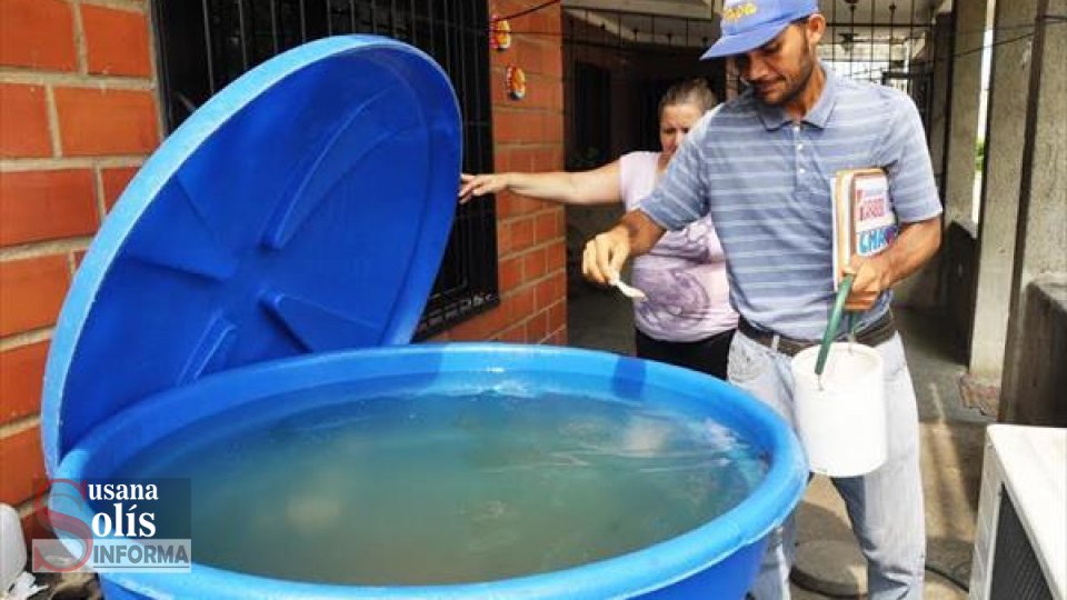 El producto no es nocivo para humanos ni mascotas