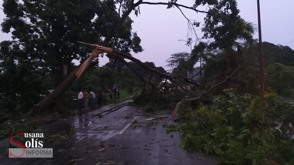 DAÑOS a viviendas y caída de árboles dejó fuerte lluvia en #Tapachula Susana Solis Informa