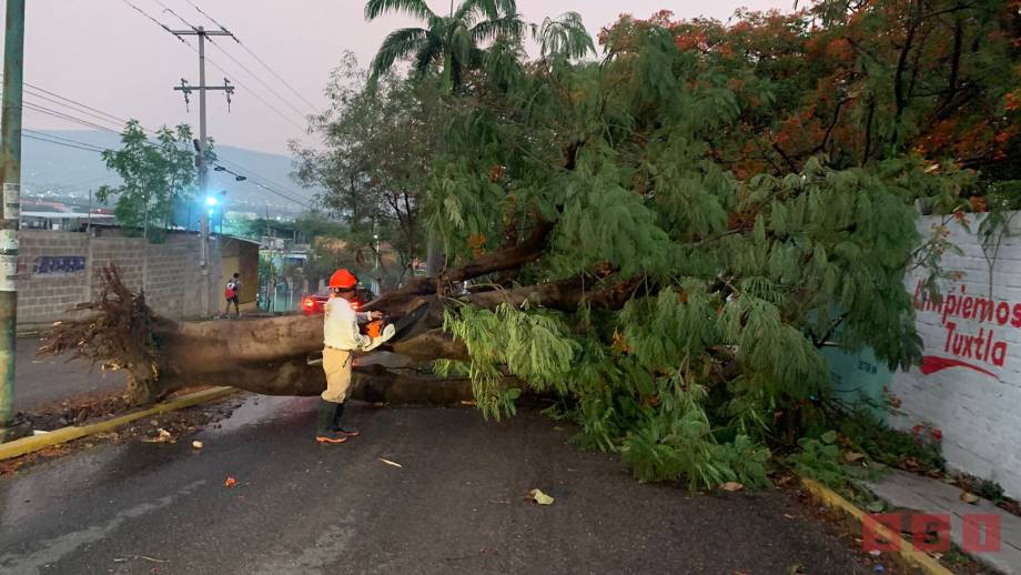 FUERTE lluvia y vientos en Tuxtla deja árboles caídos - Susana Solis Informa