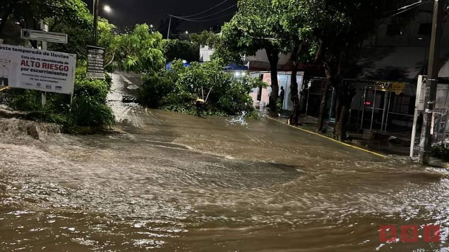 AL MENOS 10 árboles caídos dejan lluvias en Tuxtla - Susana Solis Informa