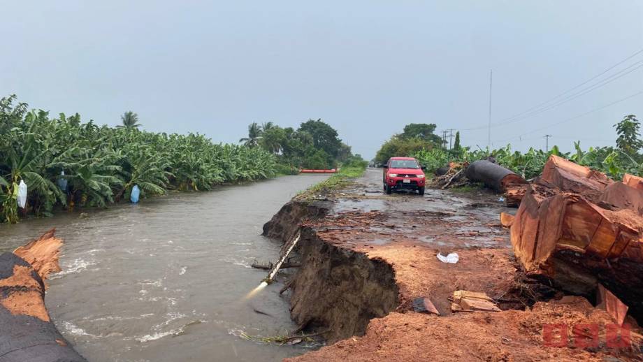 Gobierno de Chiapas emite declaratoria de emergencia para la atención de afectaciones en cultivos en el municipio de Suchiate Susana Solis Informa