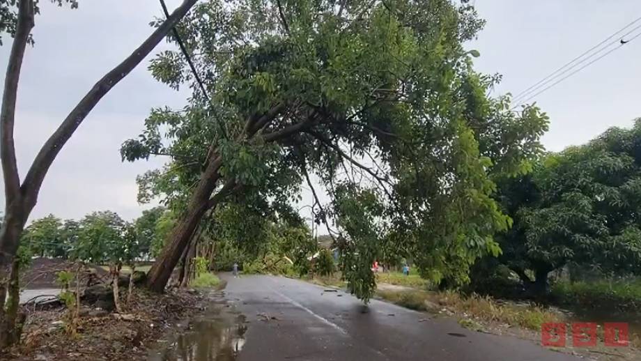 LLUVIAS dejan sin luz a cientos de habitantes de Tapachula - Susana Solis Informa