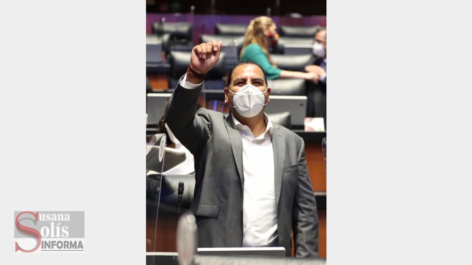 Consiste en dos salarios mínimos diarios vigentes por un periodo máximo de 6 meses