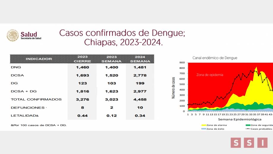 Suman 10 decesos por dengue en Chiapas en lo que va del año - Susana Solis Informa