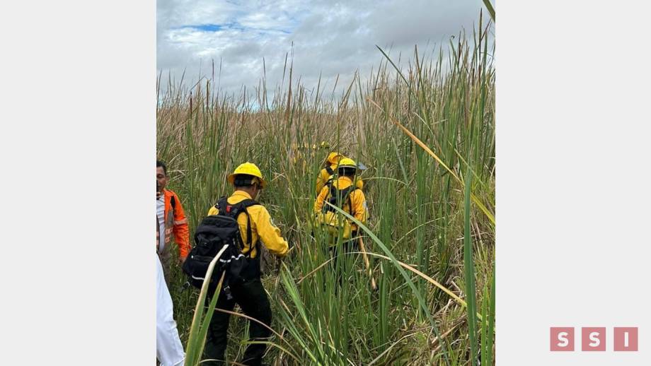 MÁS de cinco hectáreas siniestradas por incendio en Comitán - Susana Solis Informa