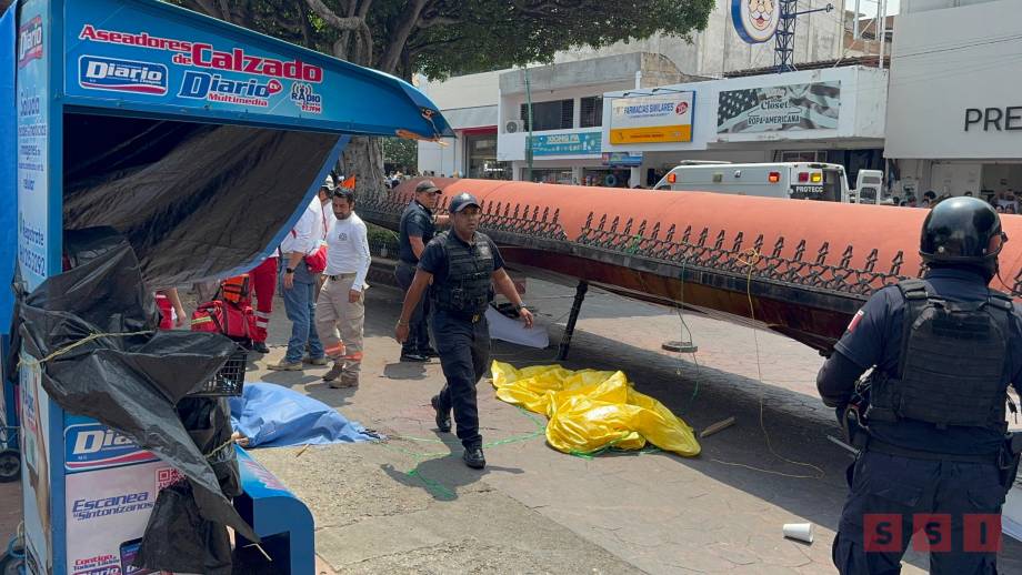 MUERE maestra que estaba en paro de labores de la Sección 7; le cae un toldo encima - Susana Solis Informa