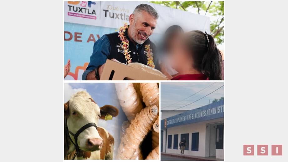 Gusano barrenador descontrolado. Susana Solis Informa