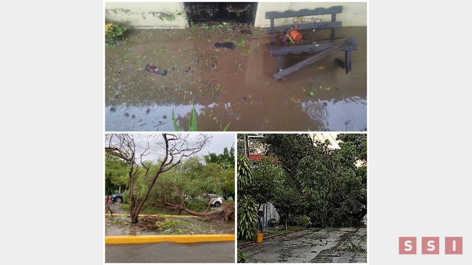 FUERTES lluvias en Tuxtla y San Cristóbal de Las Casas dejan varios daños - Susana Solis Informa