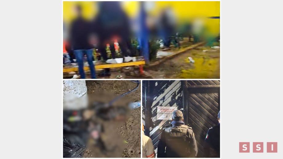 Clausuran pelea clandestina de gallos en San Cristóbal de Las Casas Susana Solis Informa