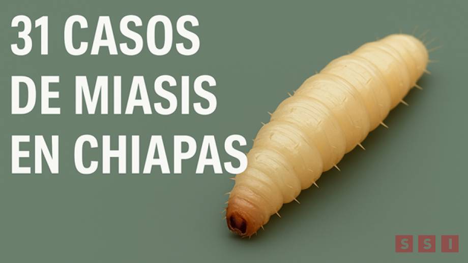 Suman 31 casos de miasis en humanos en Chiapas Susana Solis Informa