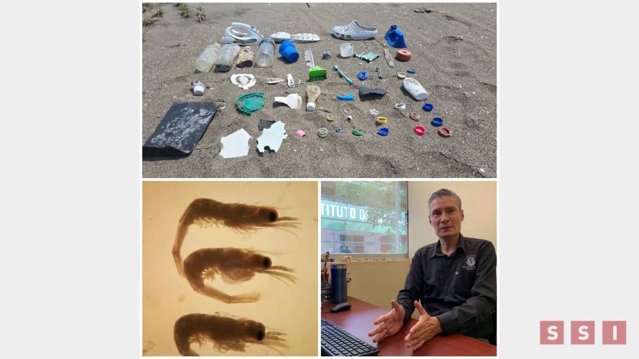 Microplásticos en tu organismo: riesgo de cáncer y daños neuronales - Susana Solis Informa