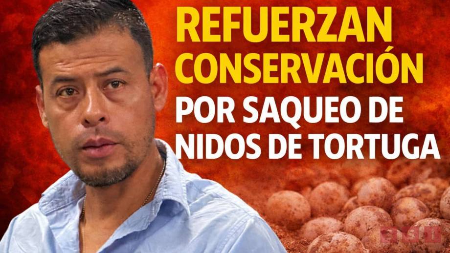 Más de 800 nidos saqueados en Puerto Arista; intensifican protección de tortugas - Susana Solis Informa