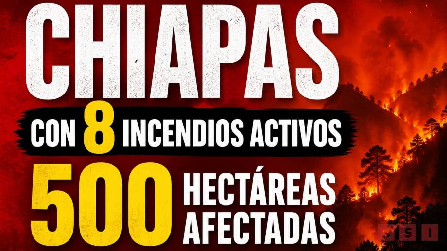 CHIAPAS con 8 incendios activos; suman más de 500 hectáreas afectadas - Susana Solis Informa