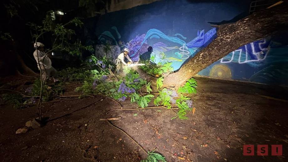 Viviendas encharcadas por desbordamiento de arroyo Pomarrosa en Tuxtla - Susana Solis Informa