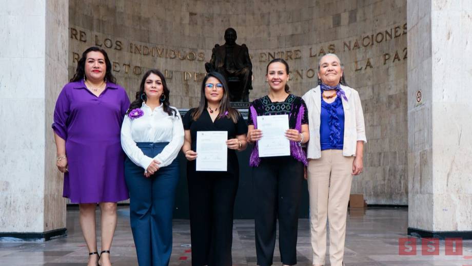 Susana Solis Informa Proponen en Chiapas impedir candidaturas de personas sancionadas por violencia política de género