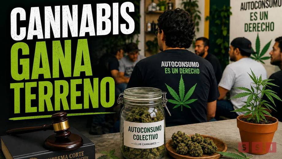 Avanza el autoconsumo de cannabis en México; clubes celebran criterio de la Corte - Susana Solis Informa