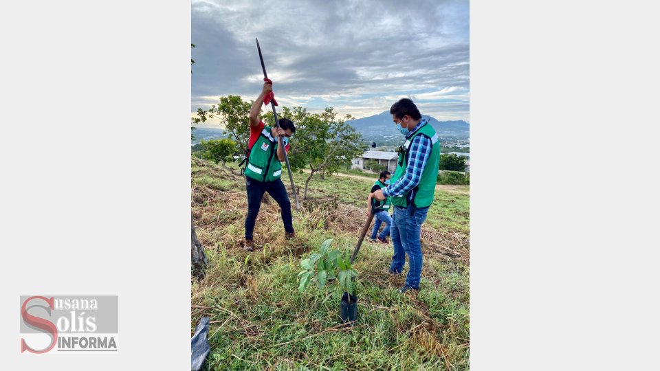 Realizarán otra  reforestación  con la participación de 200 jóvenes
