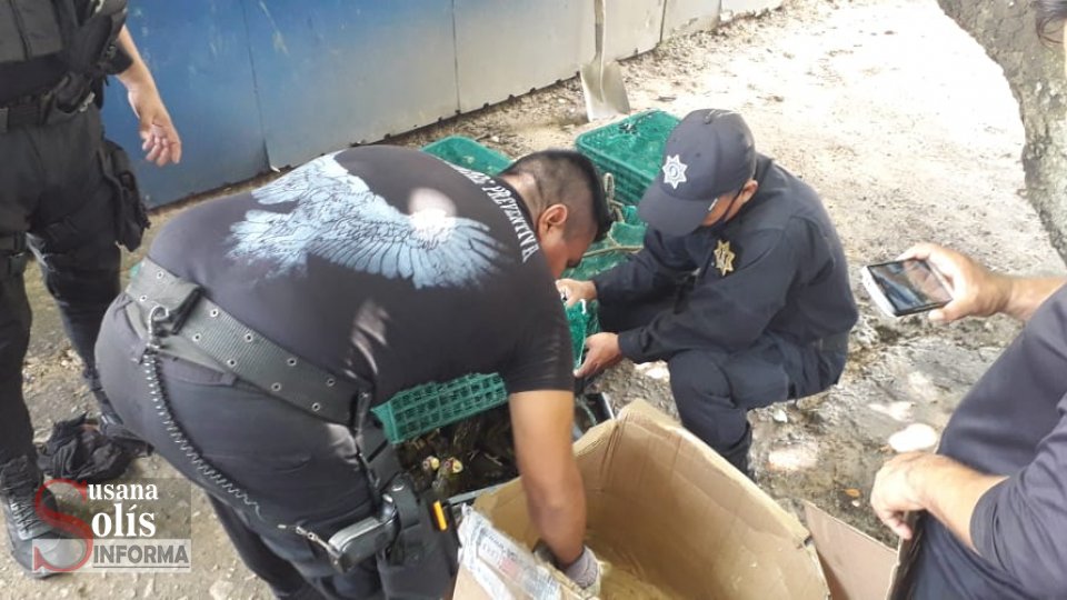 Elementos policiacos se percataron de la actitud sospechosa de los tripulantes de una camioneta