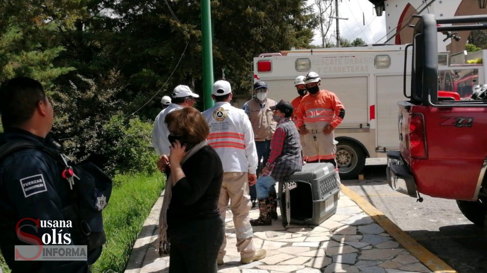 ENCUENTRAN sin vida a ciudadano norteamericano en San Cristóbal Susana Solis Informa